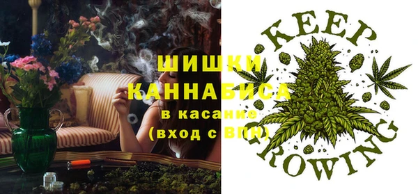 бутират Алзамай