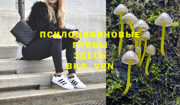 ECSTASY Алексеевка