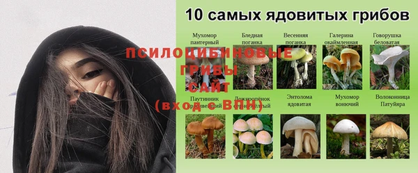 амфетамин Алексин