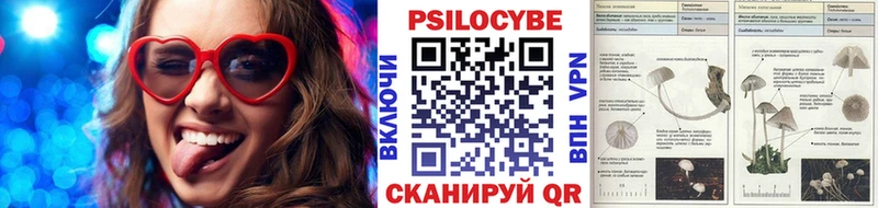 Псилоцибиновые грибы мухоморы  Купить закладки  Липки 